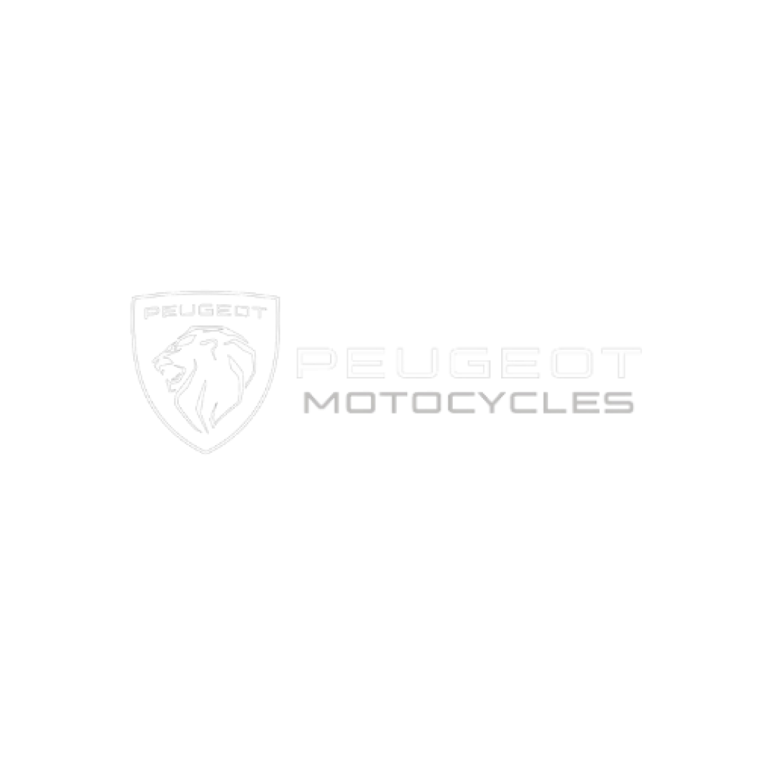 Peugeot Motosiklet